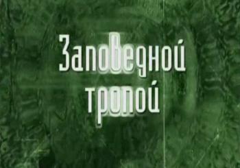 Заповедной тропой. Заказник Лебединый Мох