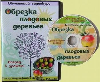 Обрезка плодовых деревьев