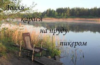 Ловля карася на пруду пикером