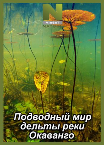 Подводный мир дельты реки Окаванго / Underwater Okavango MVO