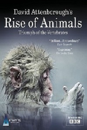 История животного мира с Дэвидом Аттенборо (2 серии из 2) / Rise of Animals: Triumph of the Vertebrates DUB