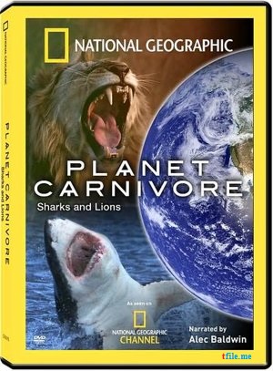 Планета хищников (1 сезон. 4 серии из 4) / National Geographic. Planet Carnivore VO