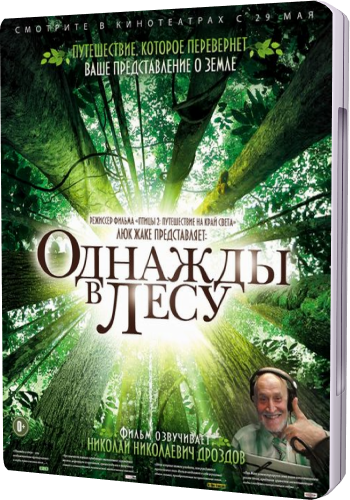 Однажды в лесу / Once in the Forest VO