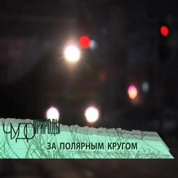 За полярным кругом