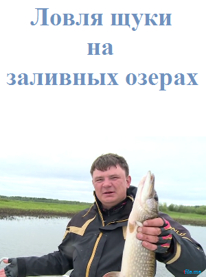 Ловля щуки на заливных озерах