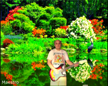 Maestro - Живая вода