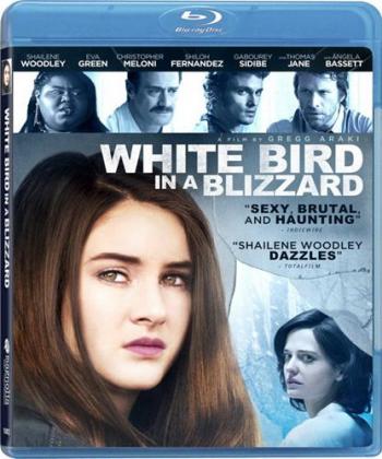Белая птица в метели / White Bird in a Blizzard AVO