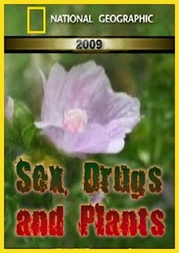 Поразительные растения / National Geographic. Sex, Drugs and Plants MVO