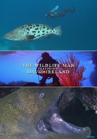 Чудеса дикой природы с Девидом Айрлендо (1-13 серии из 13) / The Wildlife man featuring David Ireland VO