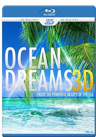 Океан мечты: Наслаждение красотой моря / Ocean Dreams: Enjoy the Powerful Beauty of the Sea