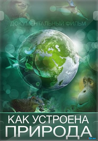 Как устроена природа (серии 1-4 из 4) / BBC: How Nature Works DUB
