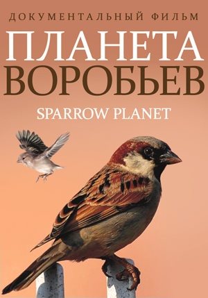 Планета воробьев / Sparrow Planet