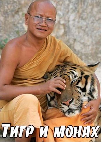 Тигр и монах / The tiger and the monk