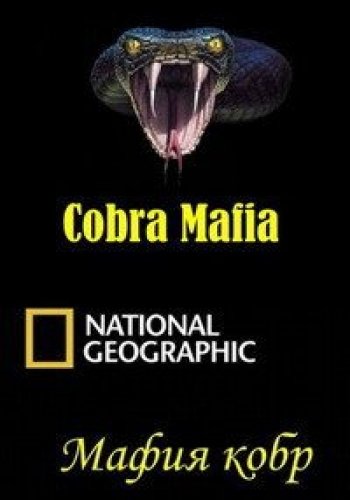 Мафия кобр / National Geographic. Cobra Mafia DUB