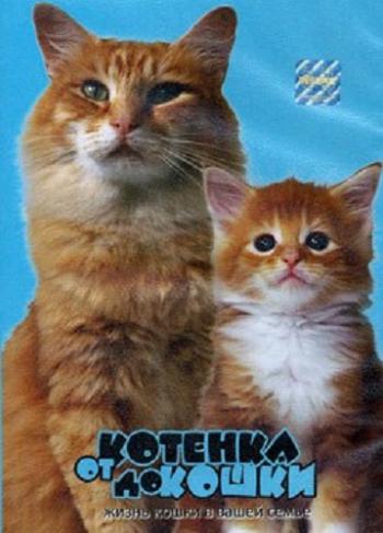 От котенка до кошки / Kittens to Cats VO