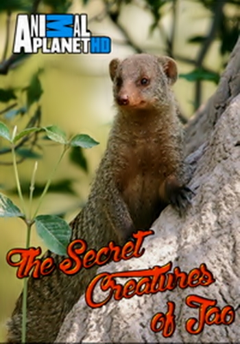 Загадочные животные острова Джао (7 серий из 7) / The Secret Creatures of Jao VO