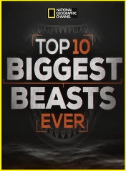 Топ-10 мегамонстров / Top 10 Biggest Beasts Ever VO