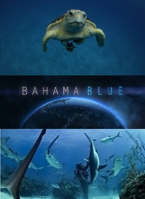 Голубые Багамы (сезон 1, 1-6 серий из 6) / Bahama Blue DUB