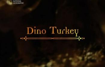 Неделя Динозавров. Пути эволюции: От динозавра к индейке / National Geographic. Dino Turkey VO