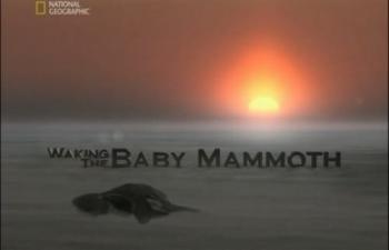 Неделя Динозавров. Мамонтенок: застывший во времени / National Geographic. Waking the Baby Mammoth VO