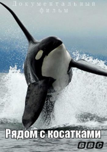 Рядом с косатками / Swimming with Killer Whales DUB