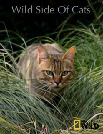 Дикая сторона кошек / Nat Geo Wild. Wild Side of Cats VO