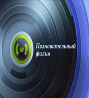 Познавательный фильм. Иллюзии (ТК МОСКВА 24 )