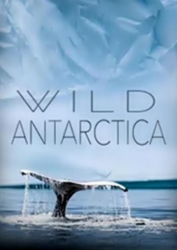 Дикая Антарктида / NatGeo. Wild Antarctica VO