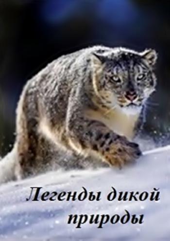 Легенды дикой природы (1-5 серий из 5) / La legende de la faune VO