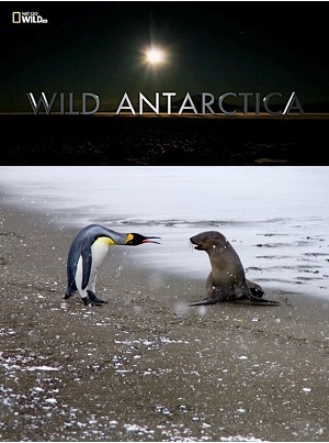 Дикая Антарктика / Wild Antarctica DUB