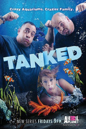 Аквариумный бизнес / Animal Planet. Tanked VO