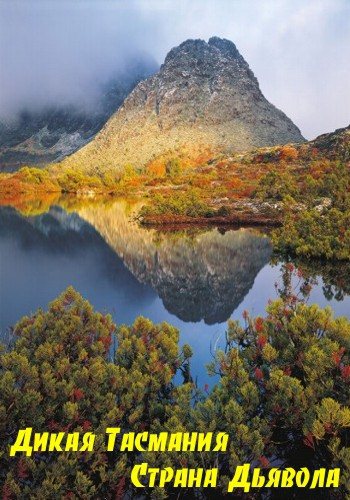 Дикая Тасмания. Страна Дьявола / Nat Geo Wild. Wild Tasmania VO