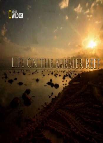 Жизнь на Большом Барьерном рифе (3 серии из 3) / Life on the Barrier Reef DUB