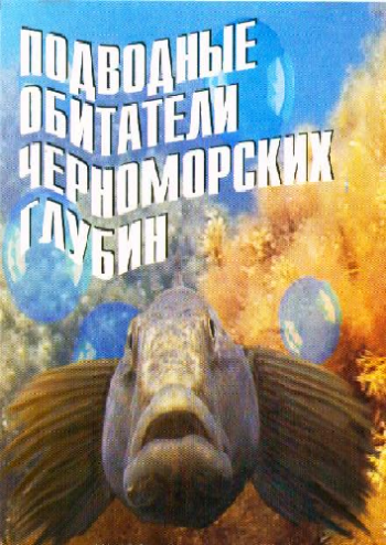 Подводные обитатели черноморских глубин