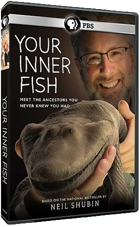 Внутренняя рыба (3 серии из 3) / Viasat History. Your Inner Fish VO