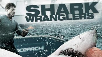 Акульи пастухи (1 сезон: 1-10 серии из 10) / Shark Wranglers MVO