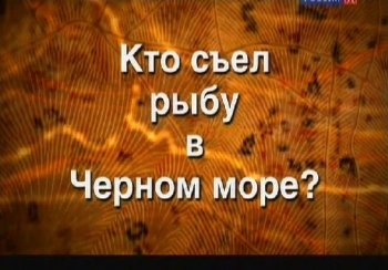 Кто съел рыбу в Чёрном море?
