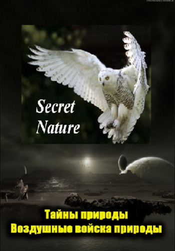Тайны природы. Воздушные войска природы / Secret Nature. Natures Airforce VO