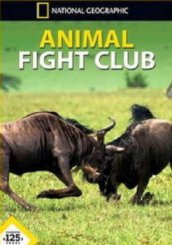 Бойцовский клуб для животных (2 сезон: 1-6 серии из 6) / Animal Fight Club DUB