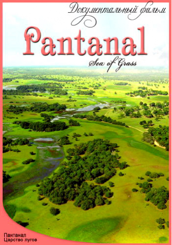 Пантанал - Царство лугов / Pantanal Sea of Grass VO