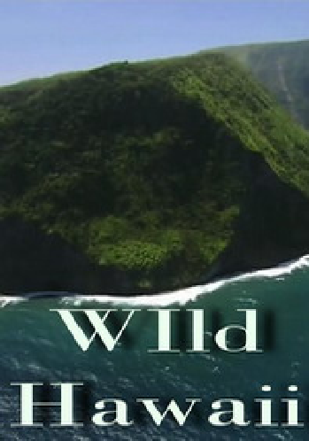 Невиданные Гавайи / Wild Hawaii DUB