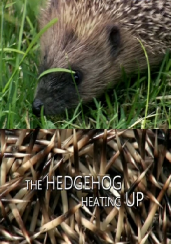 Из жизни ёжика в период глобального потепления / Climate Change: A Talk with the Animals, The Hedgehog DVO