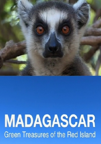 Мадагаскар. Зеленые сокровища Красного острова / Madagascar. Green Treasure of the Red island VO
