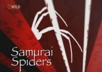 Пауки - Самураи / National Geographic: Samurai Spiders VO