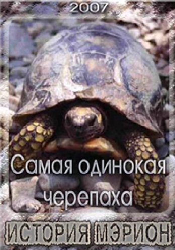 Самая одинокая черепаха. История Мэрион VO