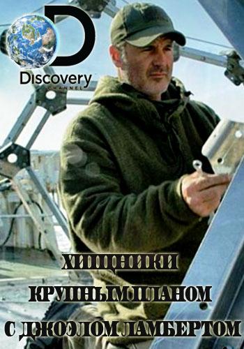 Хищники крупным планом с Джоэлом Ламбертом / Predators Up Close with Joel Lambert VO