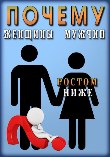 Почему женщины ростом ниже мужчин? / Why are women shorter than men? DVO