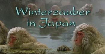 Зимнее чудо Страны восходящего солнца / Winter magic in the Land of the Rising Sun VO