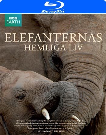 Тайная жизнь слонов (3 серии из 3) / The Secret Life of Elephants VO