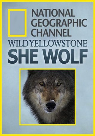Дикий Йеллоустоун: Волчица / National Geographic. Wild Yellowstone: She Wolf DUB